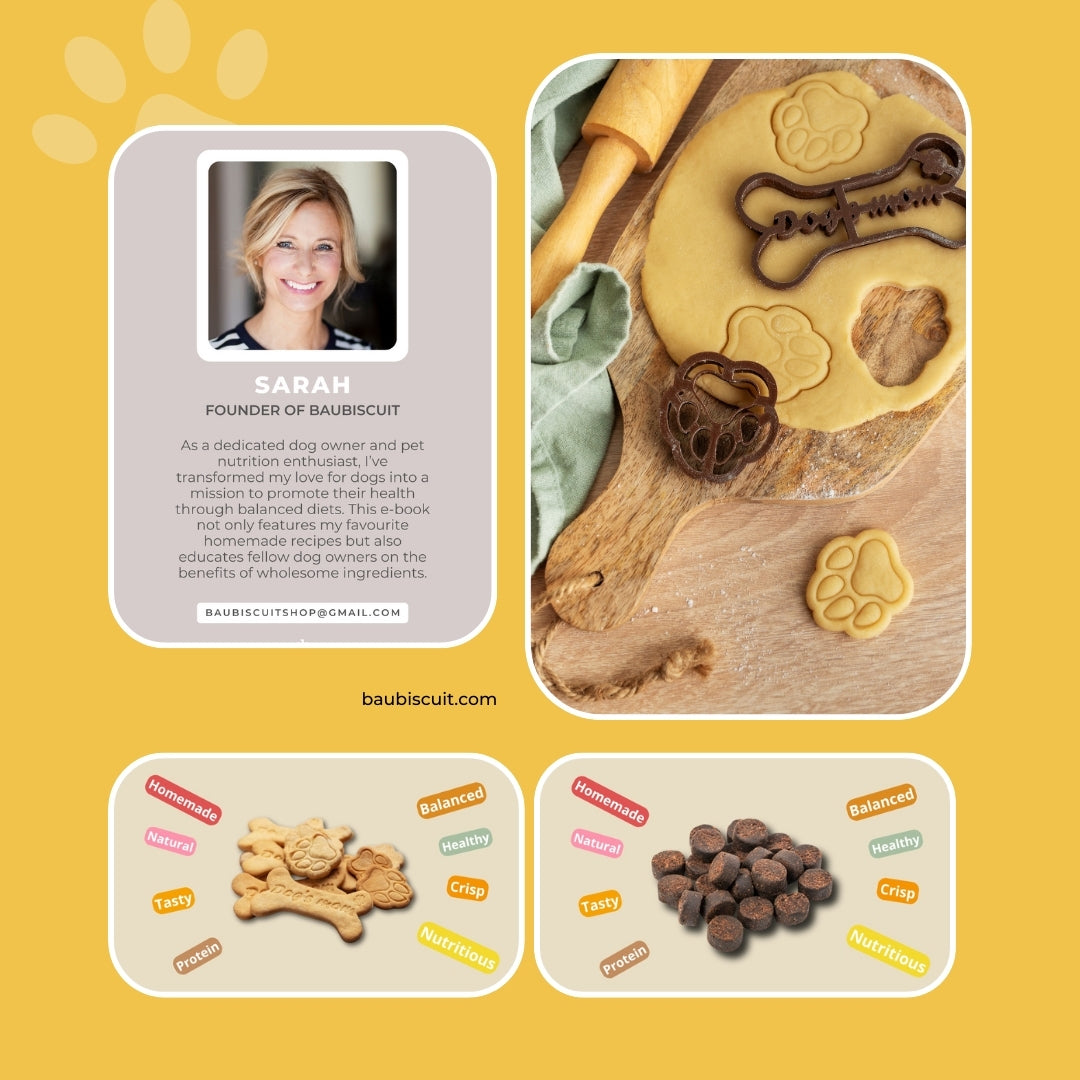 Nutritious Snack Recipes for Your Dog