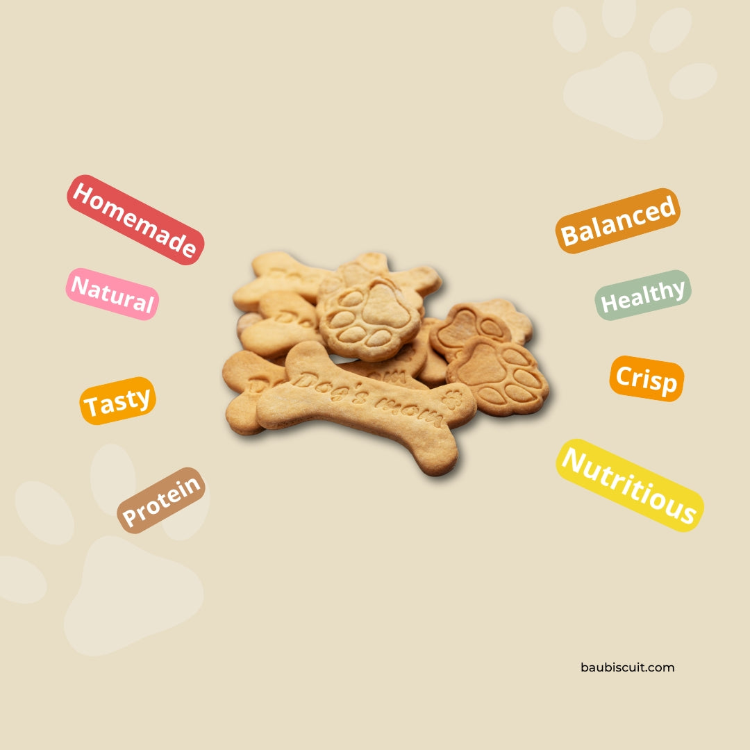 Nutritious Snack Recipes for Your Dog