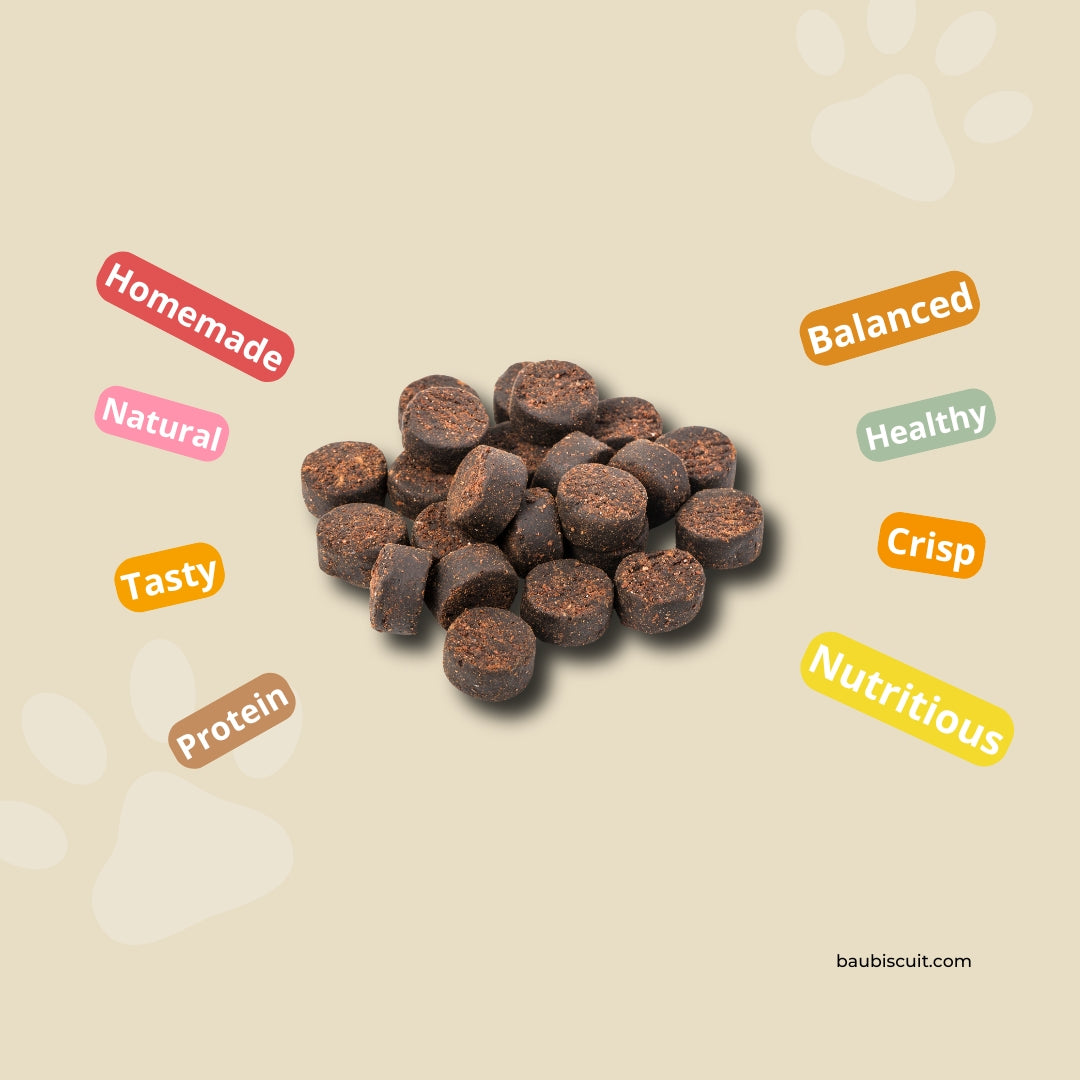 Nutritious Snack Recipes for Your Dog